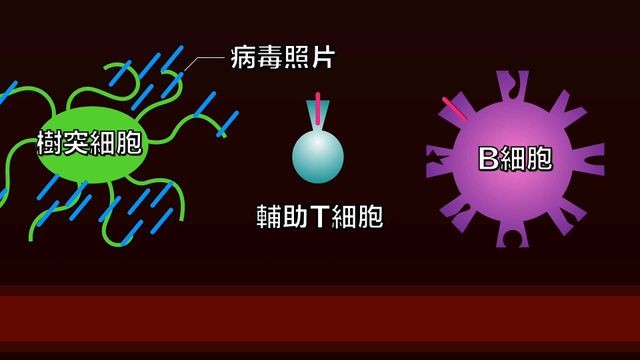 病毒照片