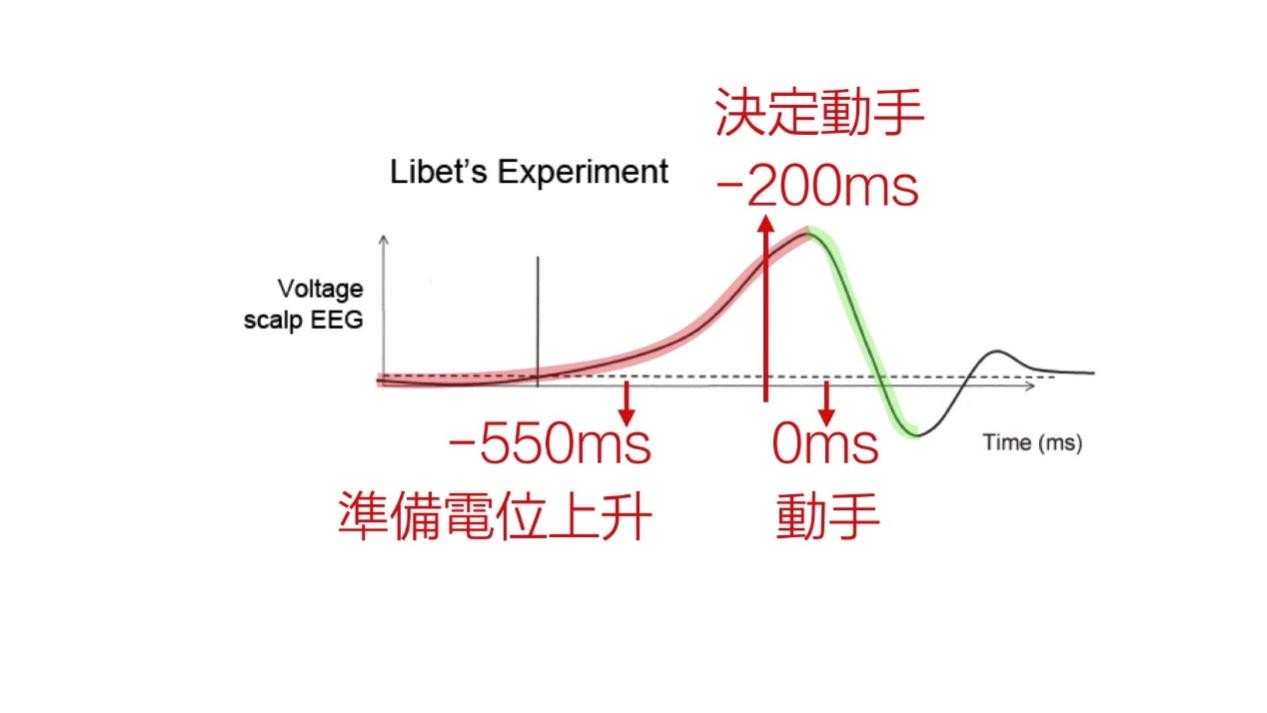 脑波曲线