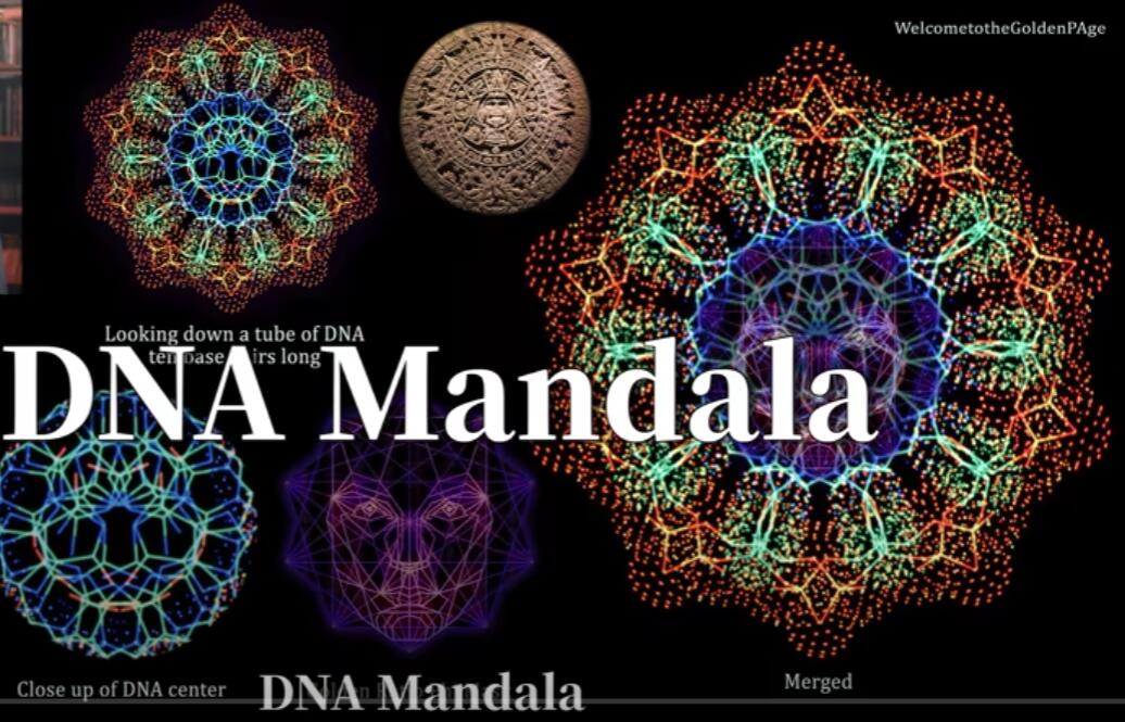 DNA Mandala