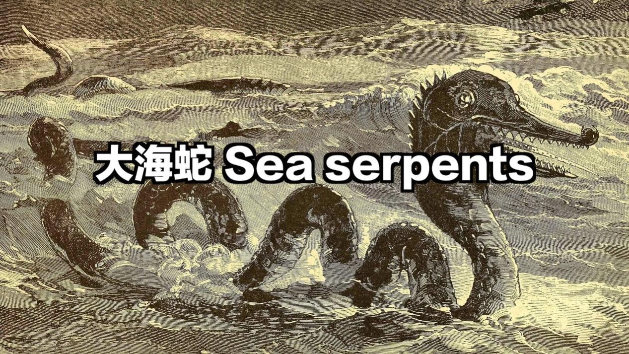 大海蛇