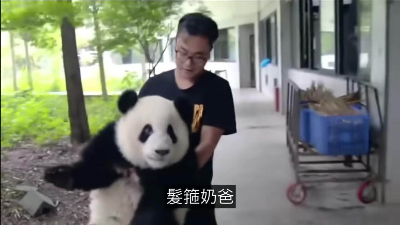 发箍奶爸