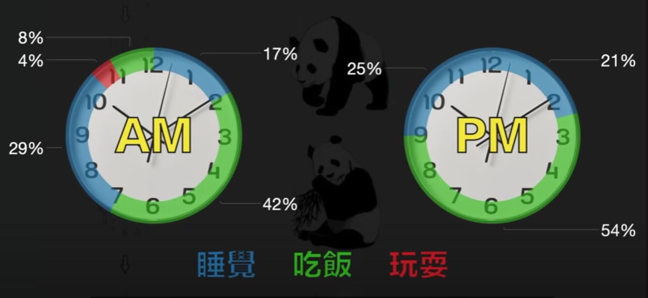 熊猫的日常生活时间表