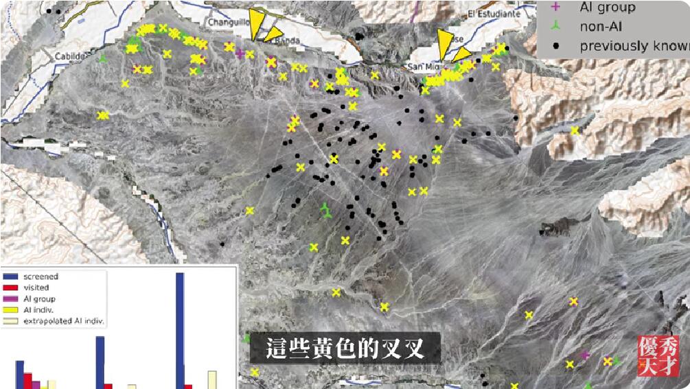 山形大学发现的最新线条分布图