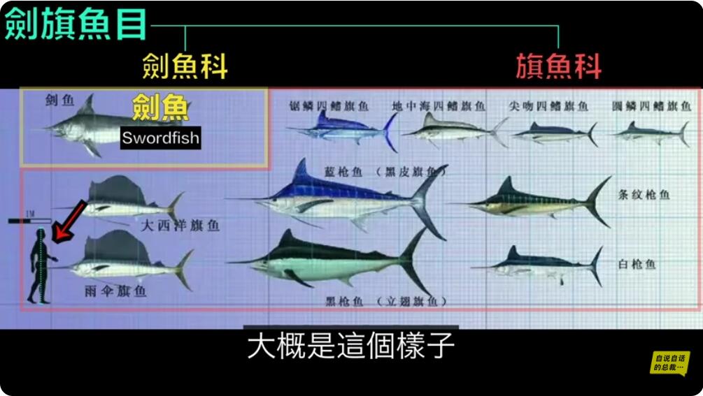 生物学分类图表