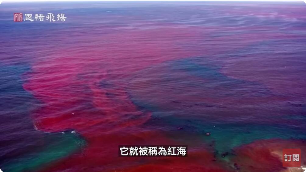 红海红色的海水