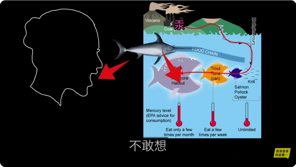 食物链恶性循环