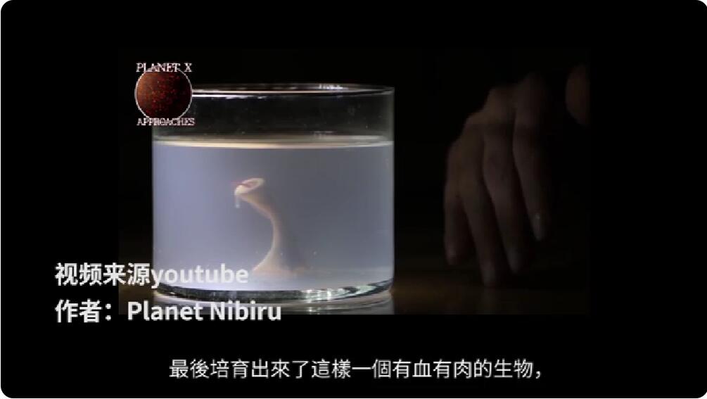 YouTube视频截图