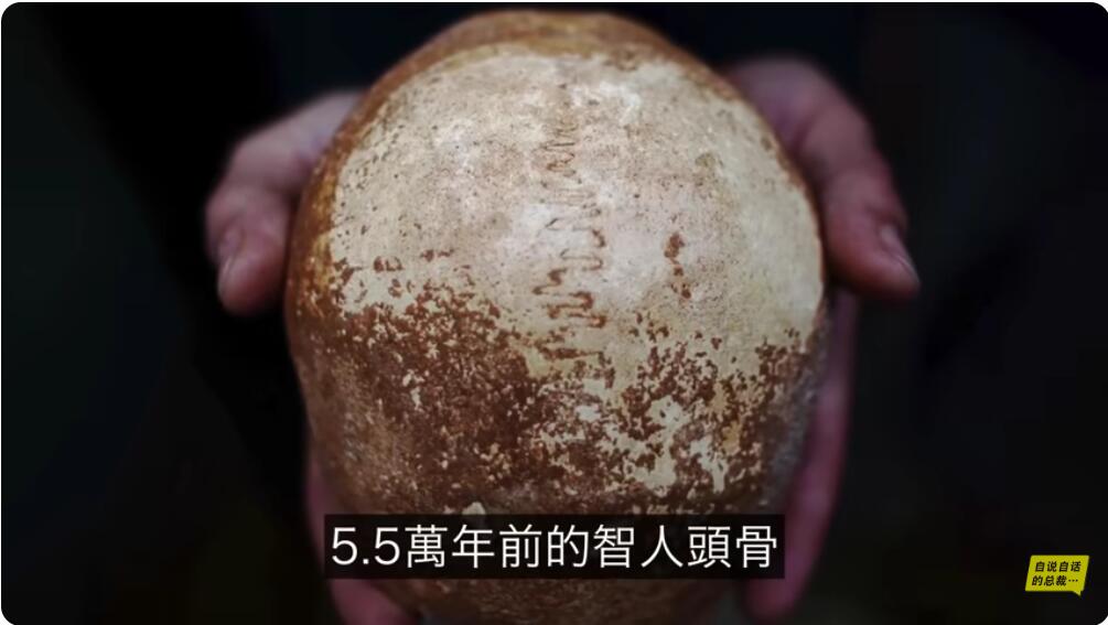 5.5万年前的智人头骨